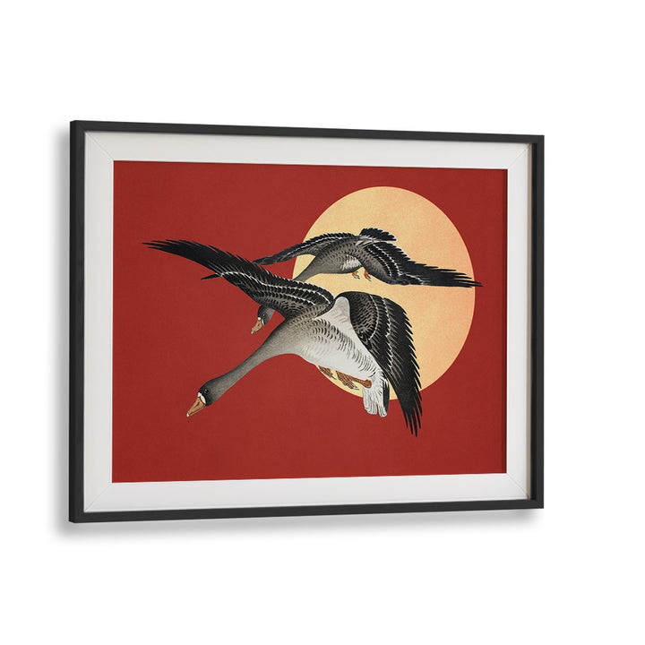 RED SUN GEESE FLIGHT