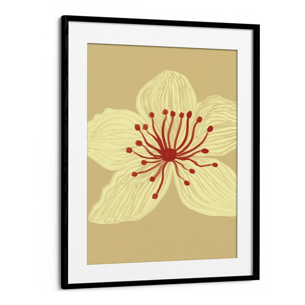 SOFT CREAM BLOSSOM