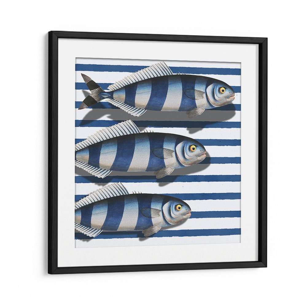 STRIPED OCEAN FISH