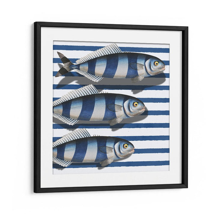 STRIPED OCEAN FISH