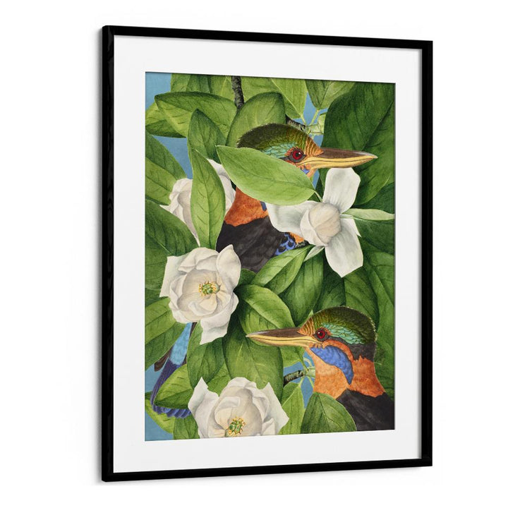TROPICAL KINGFISHERS MAGNOLIAS