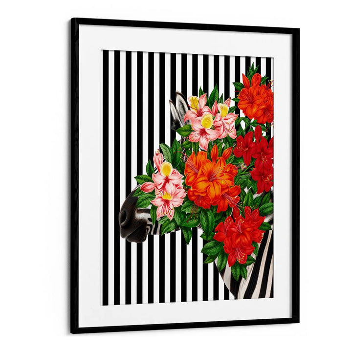 TROPICAL ZEBRA BLOOM