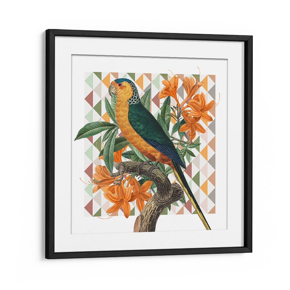 VIBRANT PARROT ILLUSTRATION