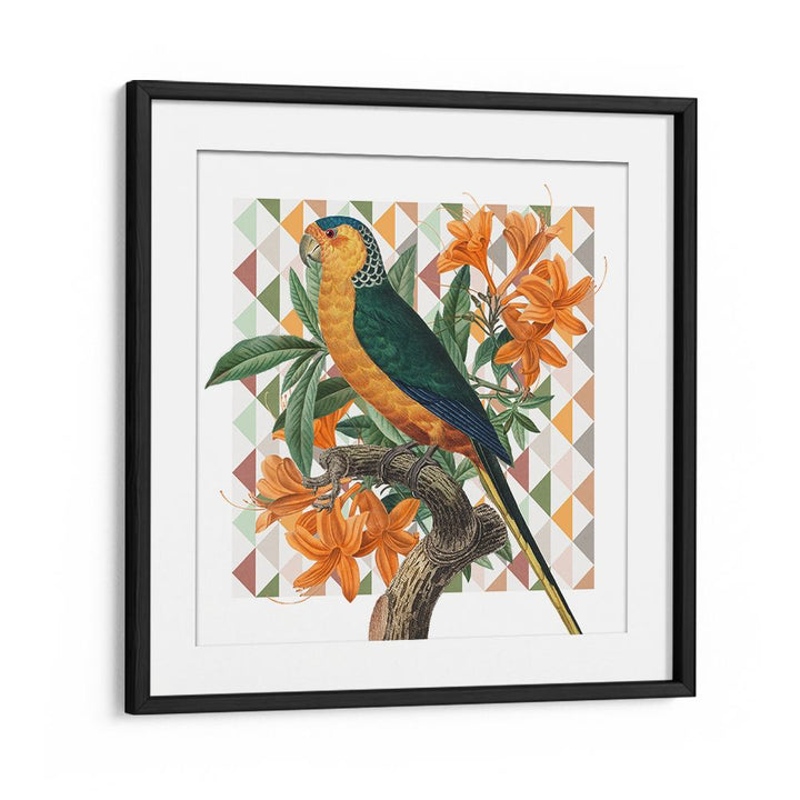VIBRANT PARROT ILLUSTRATION