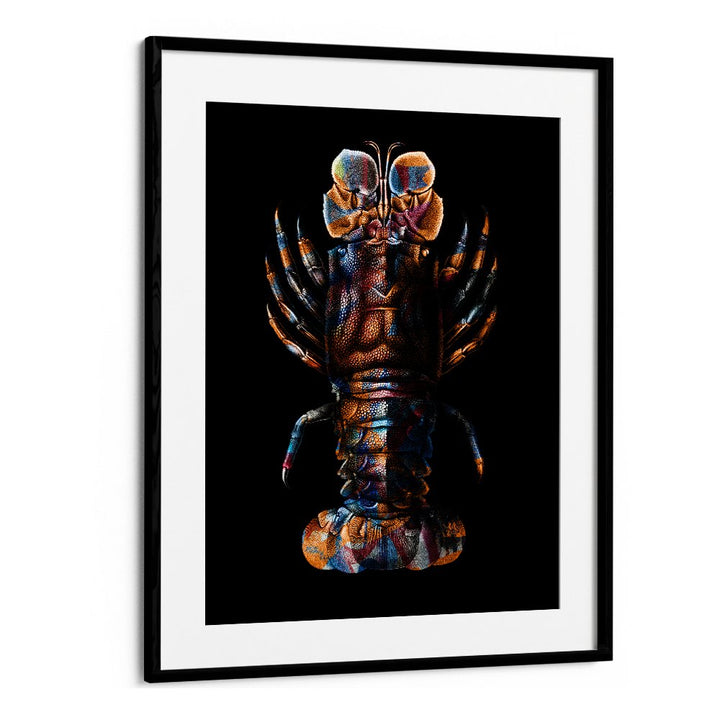 VIBRANT SPINY LOBSTER
