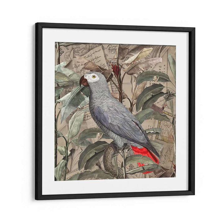 VINTAGE TROPICAL GREY PARROT
