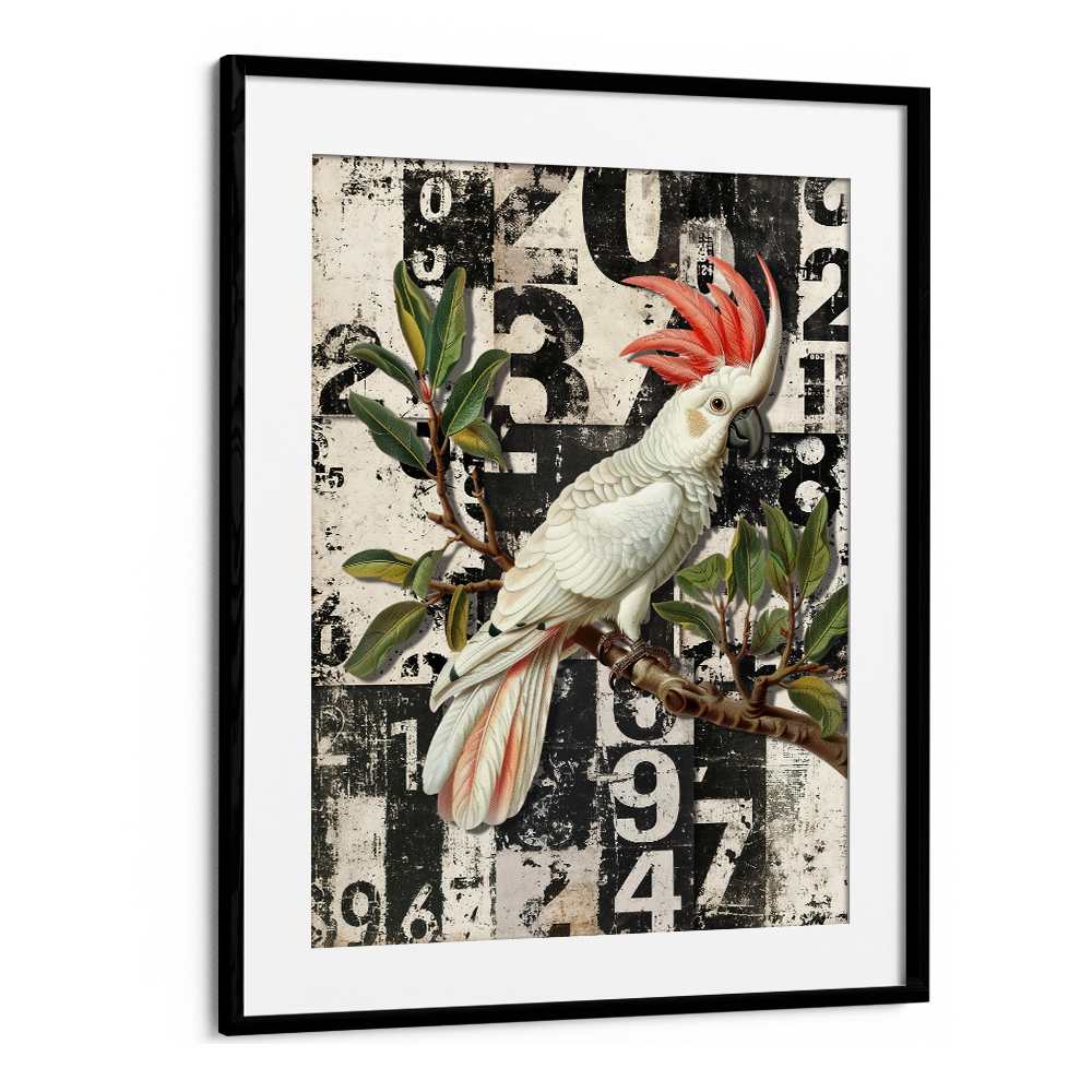 WHITE COCKATOO GRUNGE NUMBERS