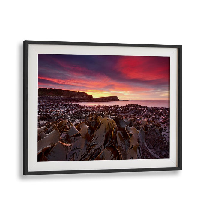 Stunning Curio Bay landscape at dawn, perfect for your decor with CURIO BAY MORNING, PHOTOGRAPHY PRINTS.