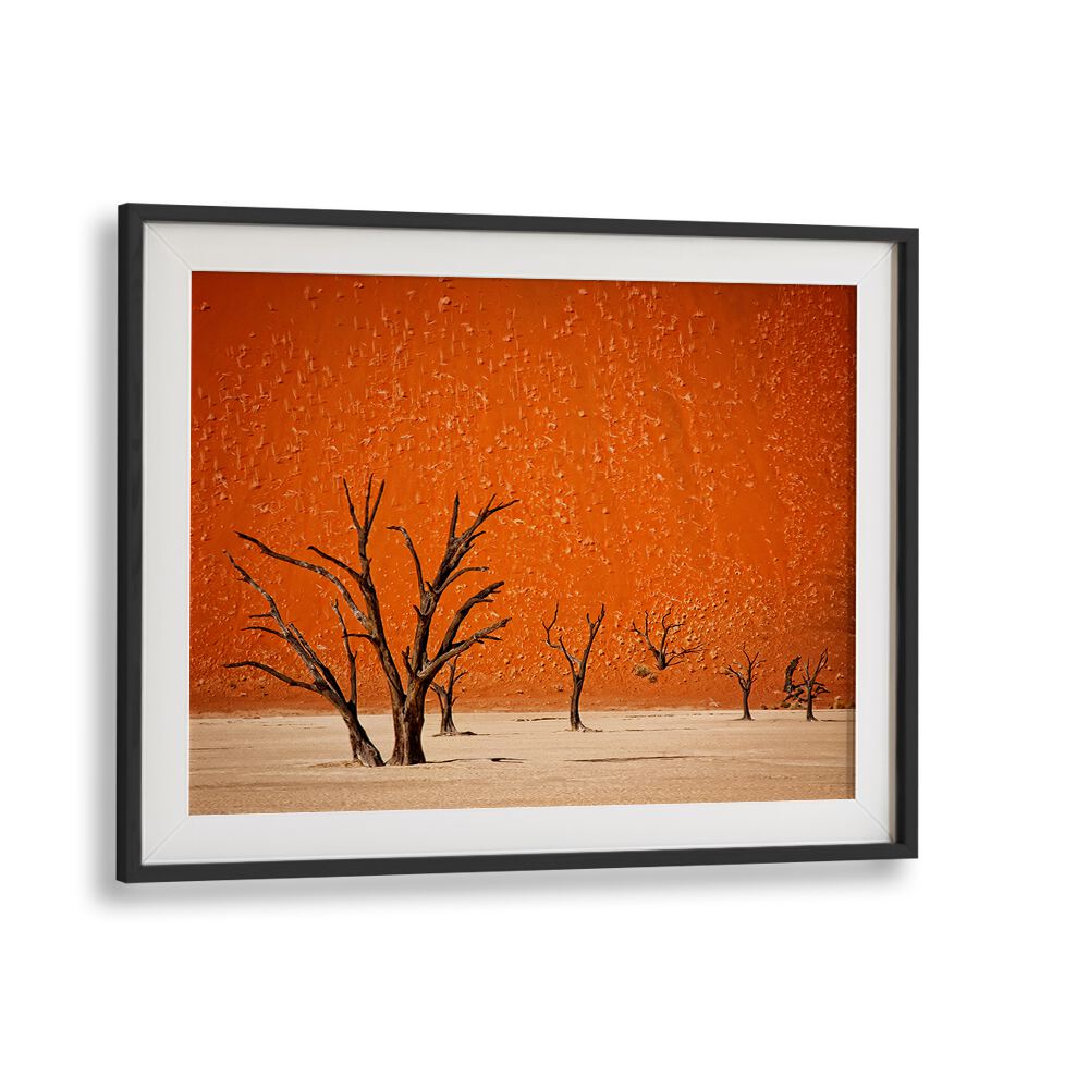 Stunning landscape featuring dry trees against an orange backdrop, part of THE OLDER, PHOTOGRAPHY PRINTS collection.