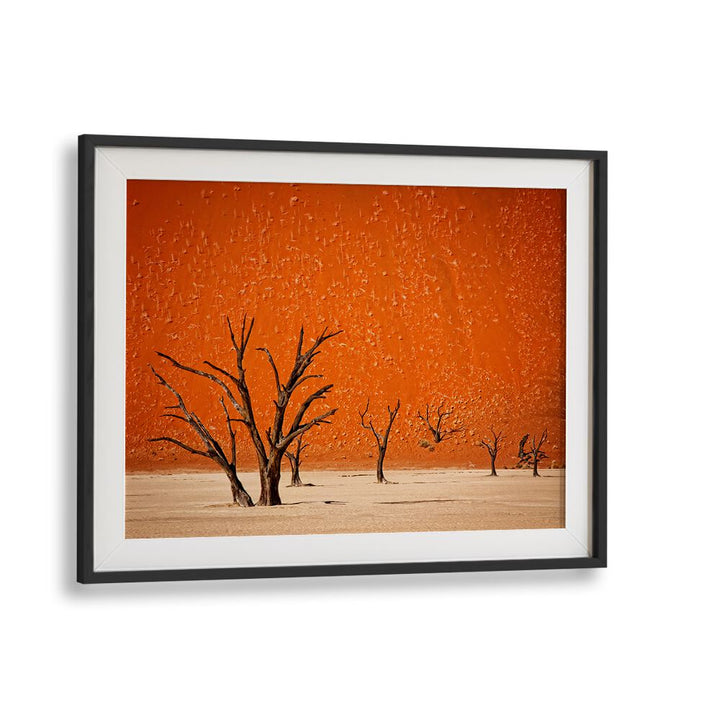 Stunning landscape featuring dry trees against an orange backdrop, part of THE OLDER, PHOTOGRAPHY PRINTS collection.