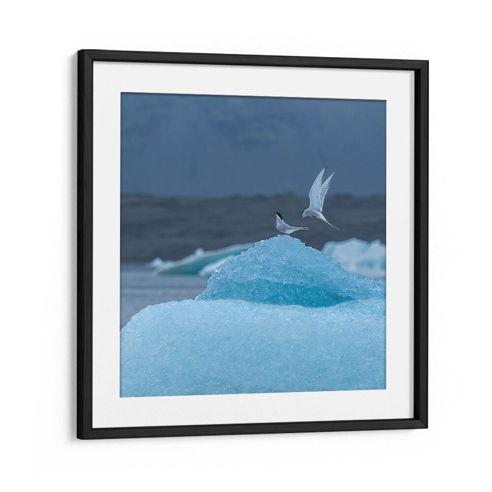 DANCING ON ICE BY MARC PELISSIER , LANDSCAPE PHOTO PRINTS