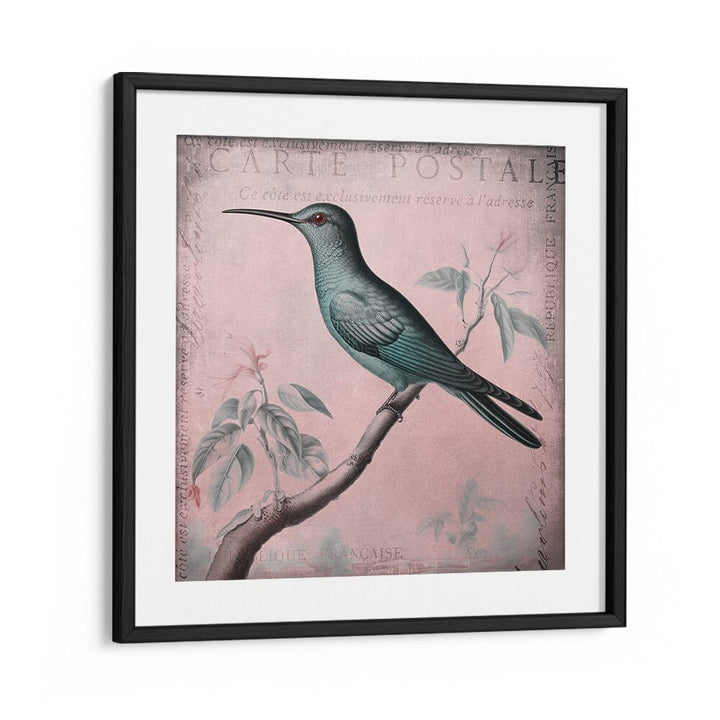 HUMMINGBIRD ROMANCE PASTEL PINK II BY ANDREA HAASE , WILDLIFE POSTERS, WILDLIFE PAINTINGS