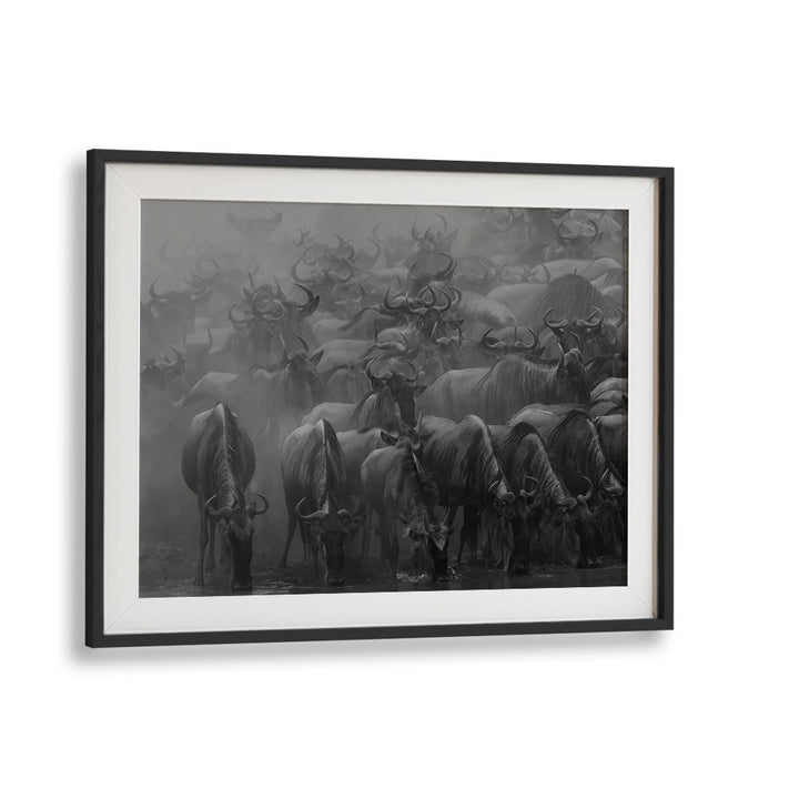 Stunning black and white photography print capturing the essence of THE GREAT MIGRATION, PHOTOGRAPHY PRINTS collection.