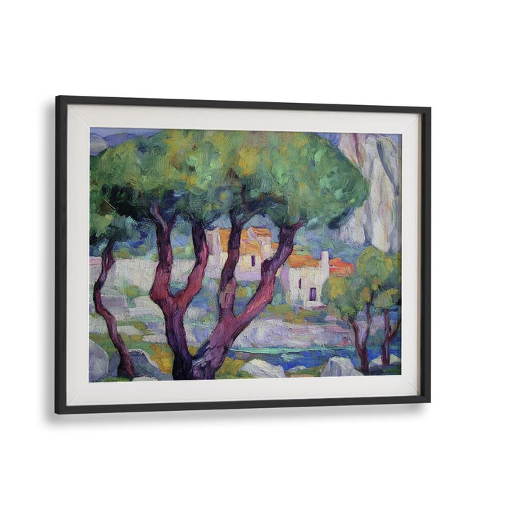 Cypress trees in the mountains create a serene landscape, perfect for nature lovers seeking tranquility.