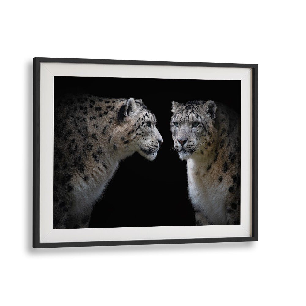 Stunning fine art photography print, "LIKE A MIRROR," showcasing two majestic snow leopards in a captivating pose.
