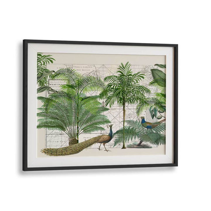 TROPICAL EMPIRE VI BY ANDREA HAASE , WILDLIFE POSTERS , WILDLIFE PAINTINGS