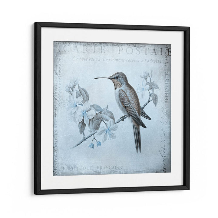 HUMMINGBIRD  ROMANCE AQUA BLUE BY ANDREA HAASE , WILDLIFE POSTERS, WILDLIFE PAINTINGS