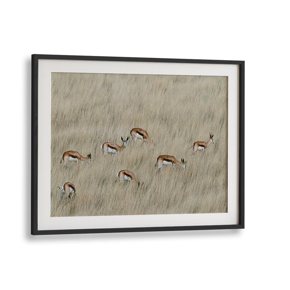 Explore wildlife beauty with WE ARE SPOTTED, PHOTOGRAPHY PRINTS showcasing graceful animals in their natural habitat.