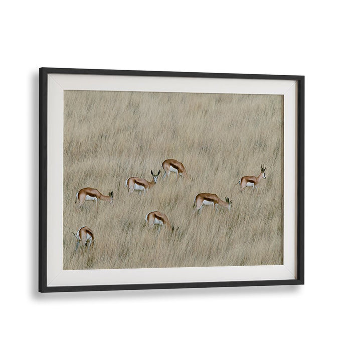 Explore wildlife beauty with WE ARE SPOTTED, PHOTOGRAPHY PRINTS showcasing graceful animals in their natural habitat.