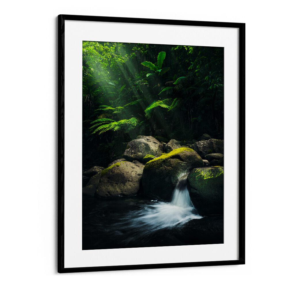 MYSTIC JUNGLE , LANDSCAPE PHOTO PRINTS , LANDSCAPE PHOTOGRAPHY