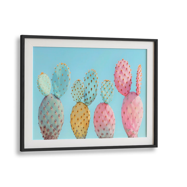 COLORFUL CACTUS  , BEACH PAINTINGS