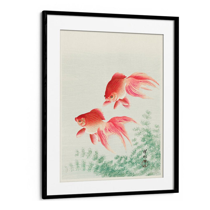 TWO VEIL GOLDFISH (1926)  , JAPANESE PAINTINGS , JAPANESE ART PRINTS