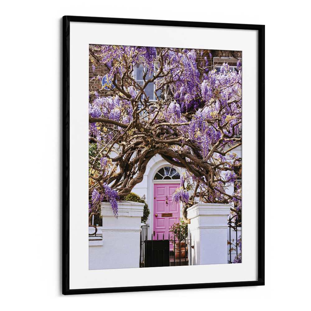 WISTERIA DREAMS , STREET PHOTOGRAPHY ART PRINTS