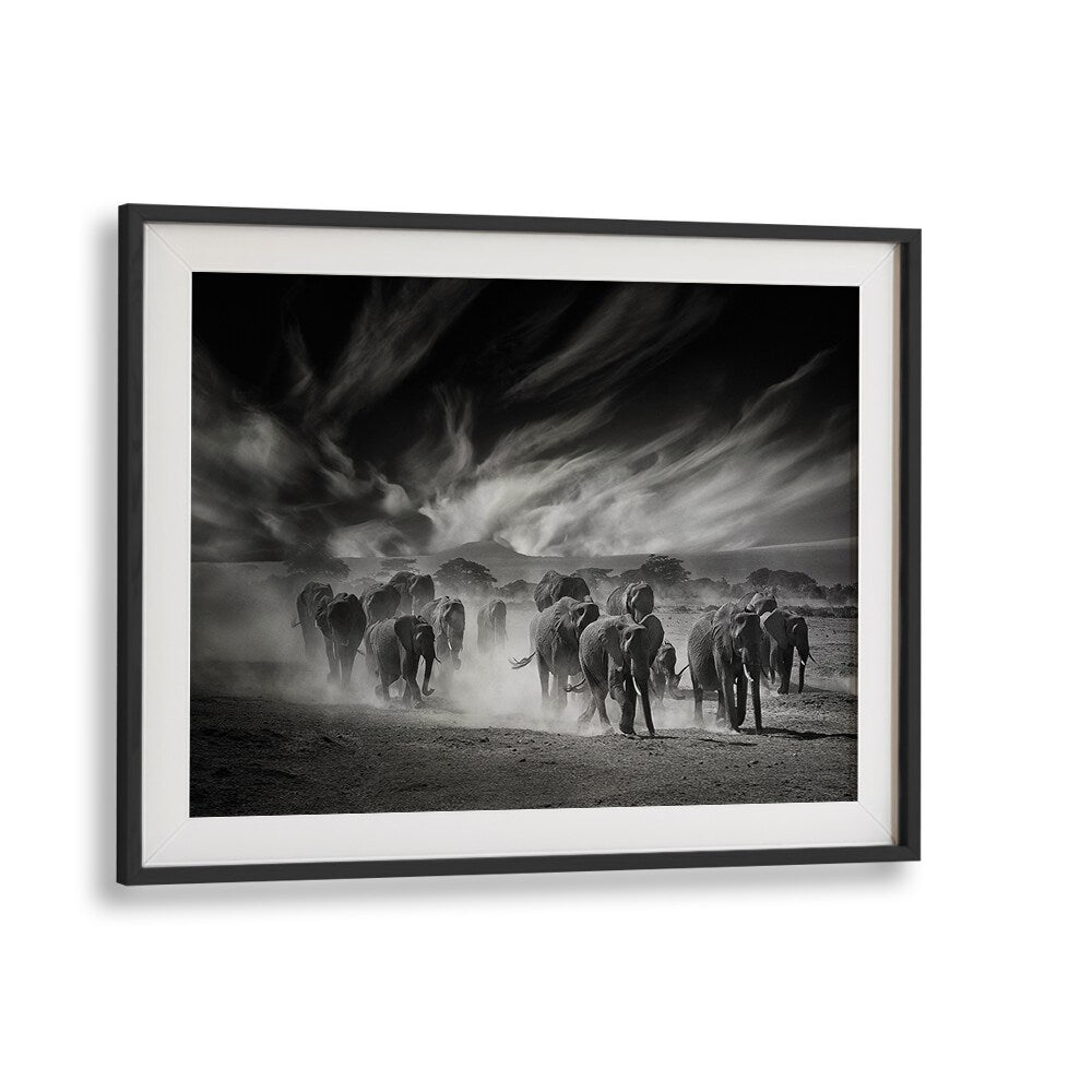 Breathtaking black-and-white scene of elephants under dramatic clouds from THE SKY, PHOTOGRAPHY PRINTS collection.