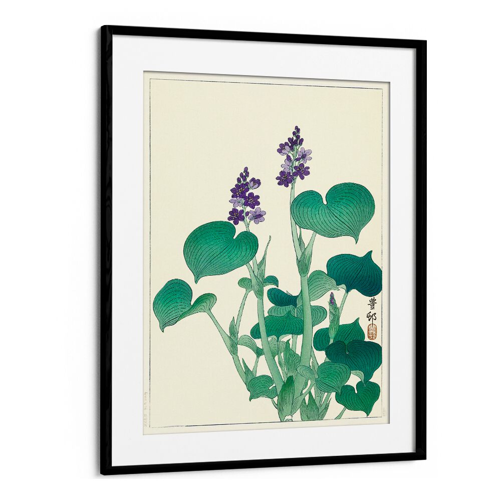 BLOOMING HOSTA (1920 - 1930)  , JAPANESE PAINTINGS , JAPANESE ART PRINTS