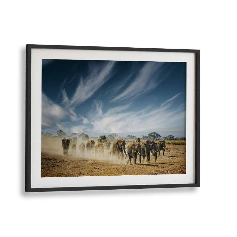 Stunning landscape of elephants in motion, perfect for "A VERY LONG THINKING, PHOTOGRAPHY PRINTS" to enhance your space.
