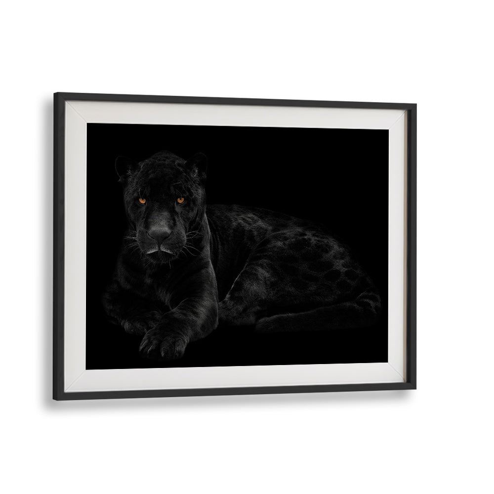 Majestic BLACK PANTHER III, PHOTOGRAPHY PRINTS showcase the beauty and grace of wildlife in stunning detail.