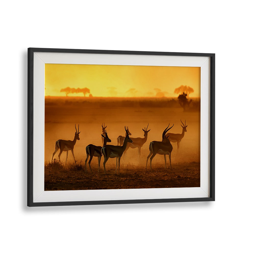 Golden Light Photography Prints featuring wildlife in a stunning sunset, showcasing nature's beauty and vibrant colors.