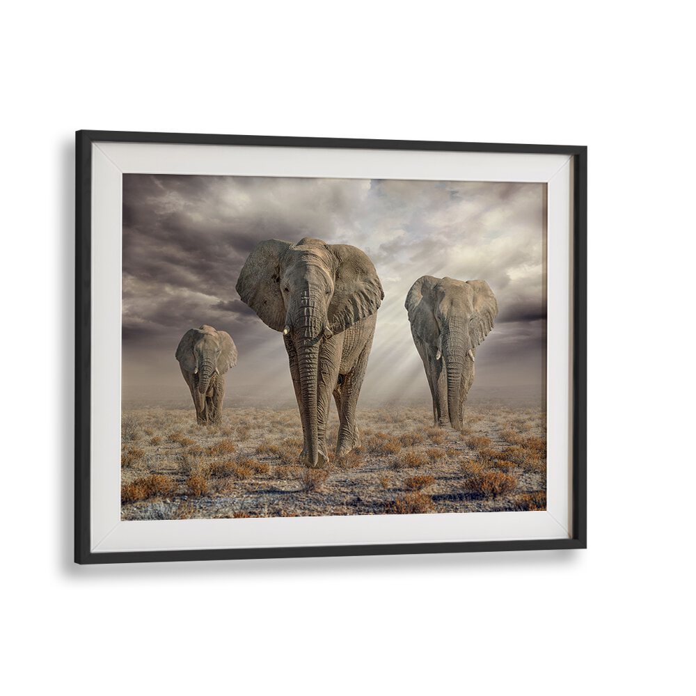 Majestic Etosha Elephants captured in stunning wildlife photography, perfect for your decor. Explore ETOSHA ELEPHANTS, PHOTOGRAPHY PRINTS.