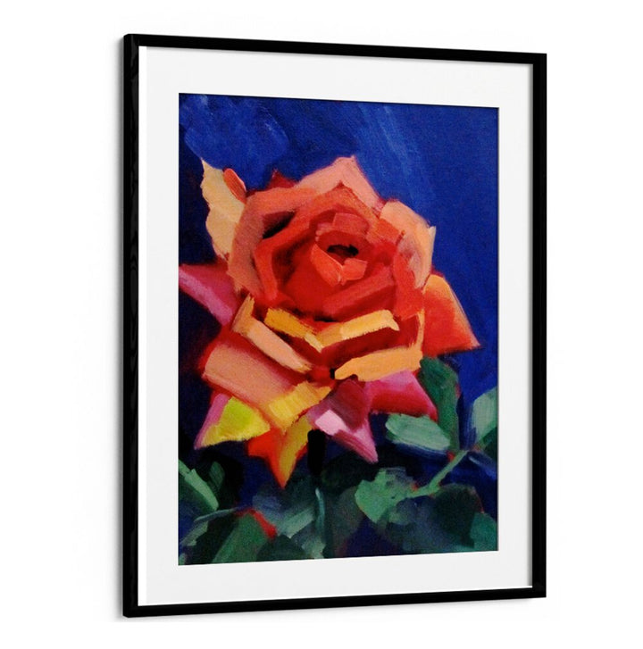 BLUSHING ROSE , FLORAL FLOWER PAINTINGS