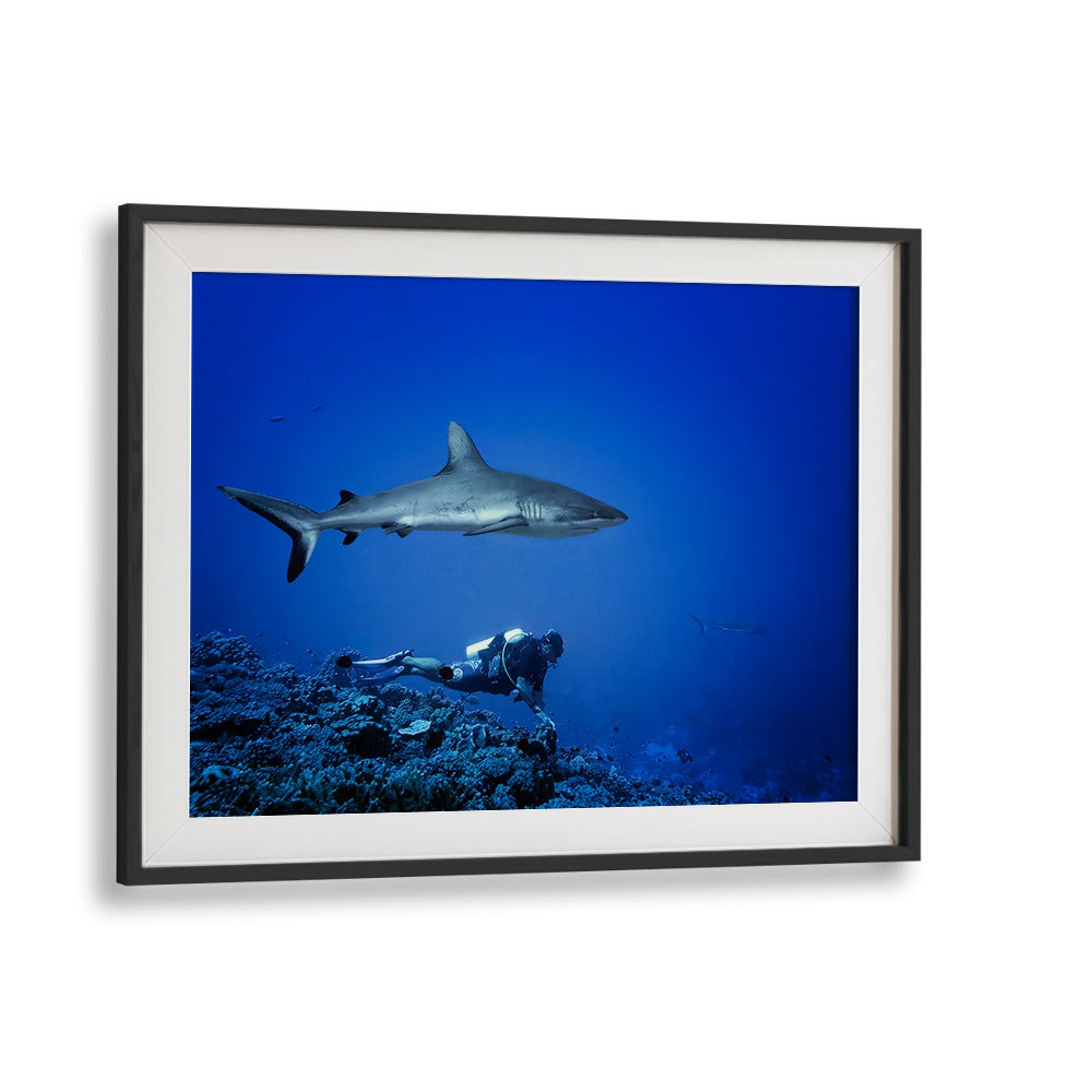 Dive into adventure with MARC IS NOT LOOKING, PHOTOGRAPHY PRINTS featuring a diver and shark in vibrant underwater scenery.