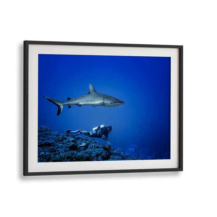 Dive into adventure with MARC IS NOT LOOKING, PHOTOGRAPHY PRINTS featuring a diver and shark in vibrant underwater scenery.