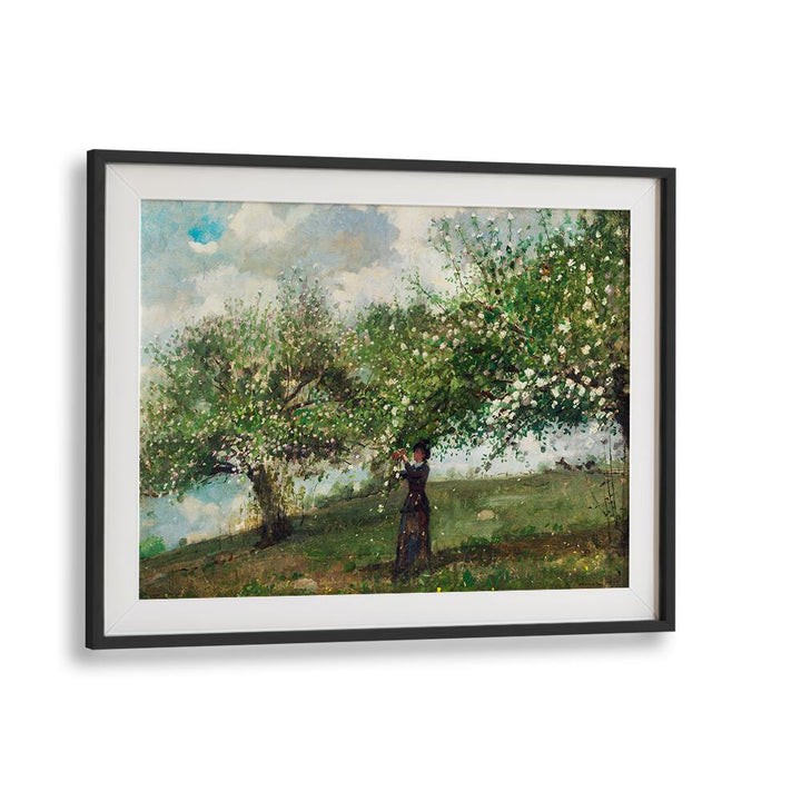 GIRL PICKING APPLE BLOSSOMS (1879) , VINTAGE PAINTINGS