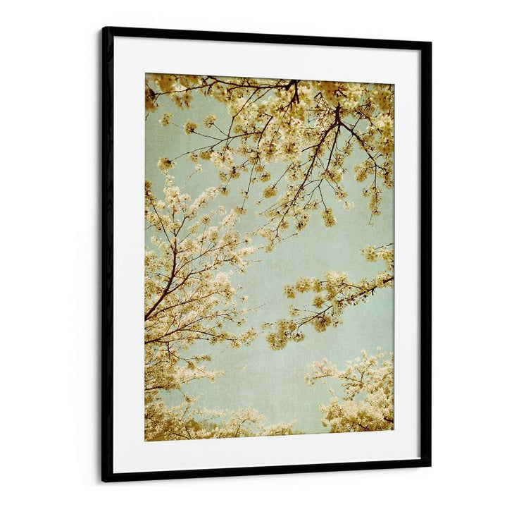 Delicate cherry blossoms framed under a vintage sky, showcasing the beauty of VINTAGE SKY, FLORAL FLOWER PAINTINGS.