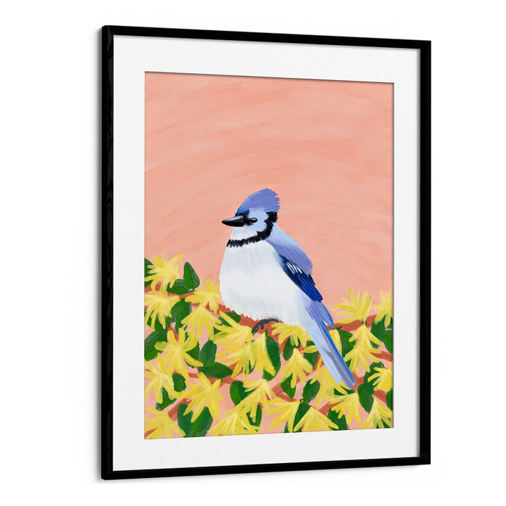 BLUE JAY BIRD , WILDLIFE PAINTINGS , WILDLIFE POSTERS