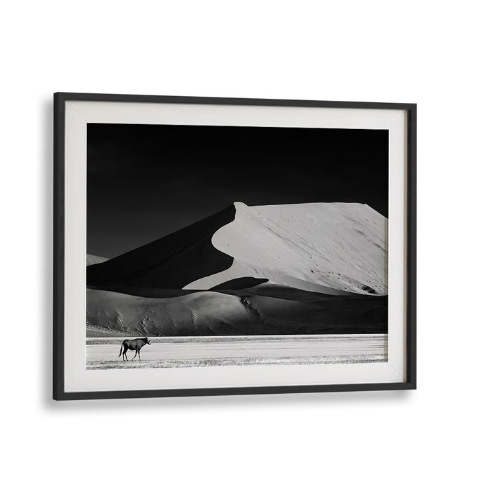 Stunning black and white scene featuring dunes and wildlife in THE SOLITARY, PHOTOGRAPHY PRINTS collection.