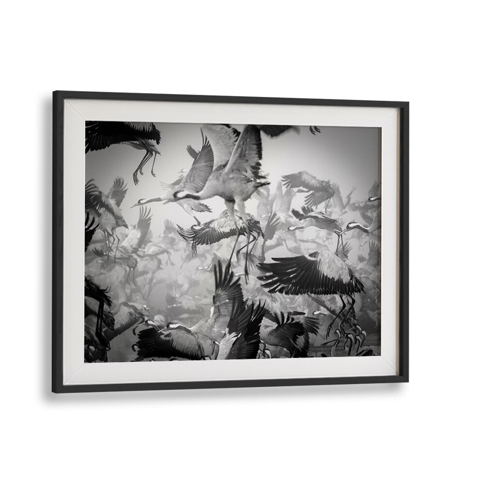 Dynamic chaos in flight captured in stunning black-and-white, perfect for your wall. Explore CHAOS, PHOTOGRAPHY PRINTS.