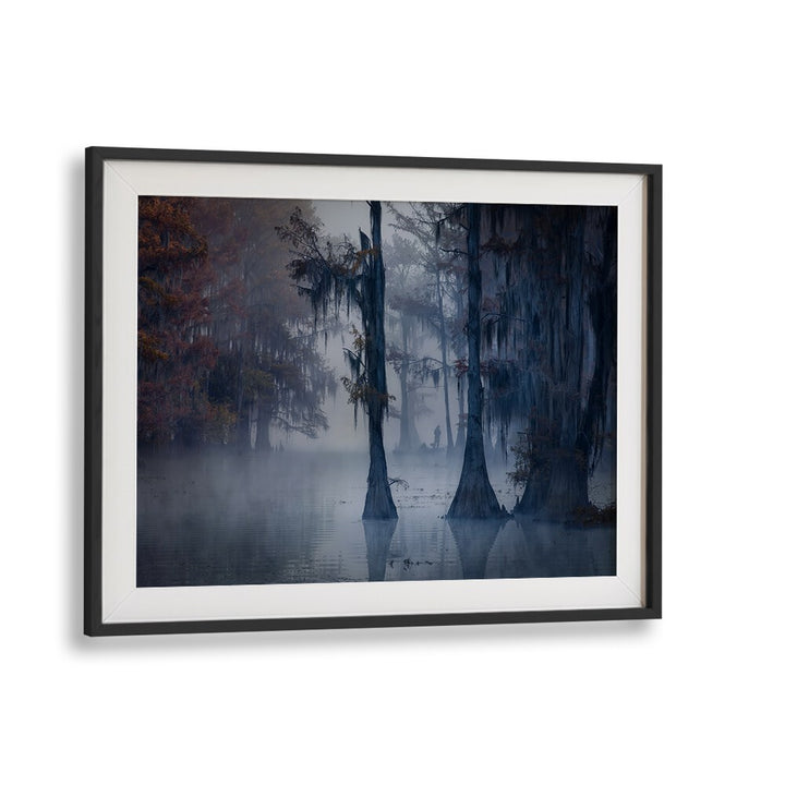 HAUNTED FOREST BY MICHAEL ZHENG , LANDSCAPE PHOTO PRINTS