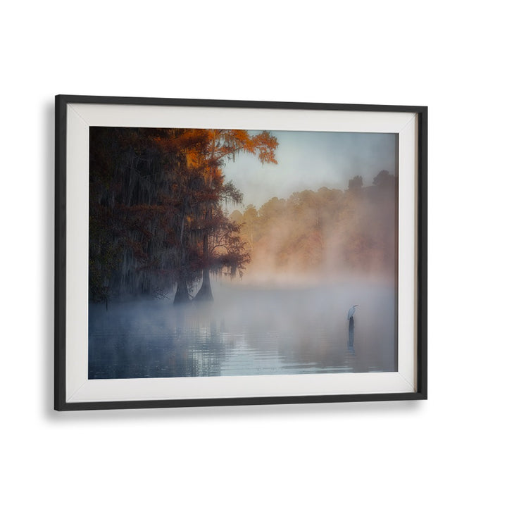 A TRANQUIL MORNING AT CADDO LAKE BY MICHAEL ZHENG , LANDSCAPE PHOTO PRINTS