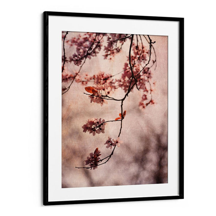 Delicate cherry blossoms framed beautifully, showcasing VINTAGE PINK, FLORAL FLOWER PAINTINGS for a serene ambiance.