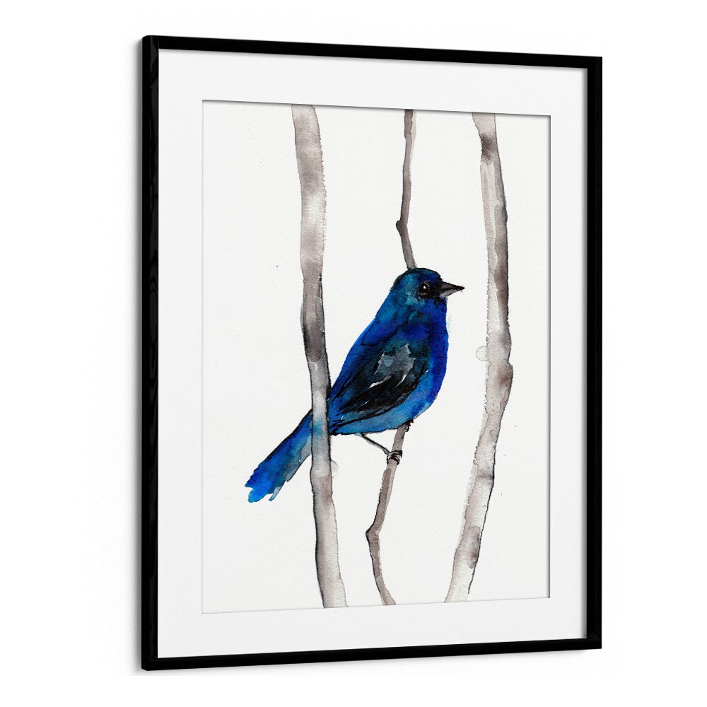 INDIGO BUNTING , ANIMAL PAINTINGS