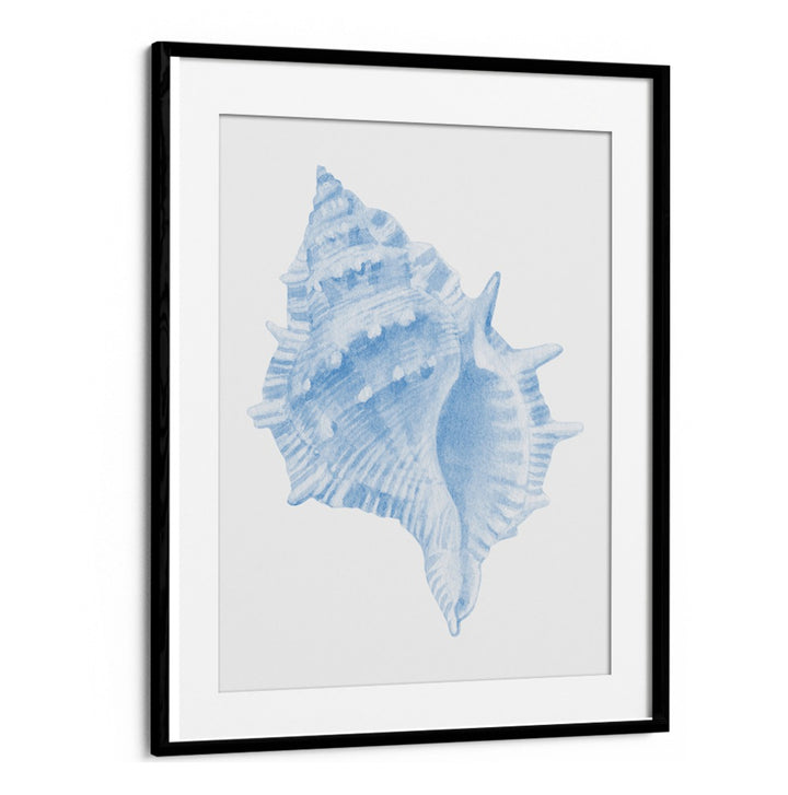 Elegant ONE BLUE CONCH, BEACH PAINTINGS capturing ocean beauty, perfect for coastal decor in any home.