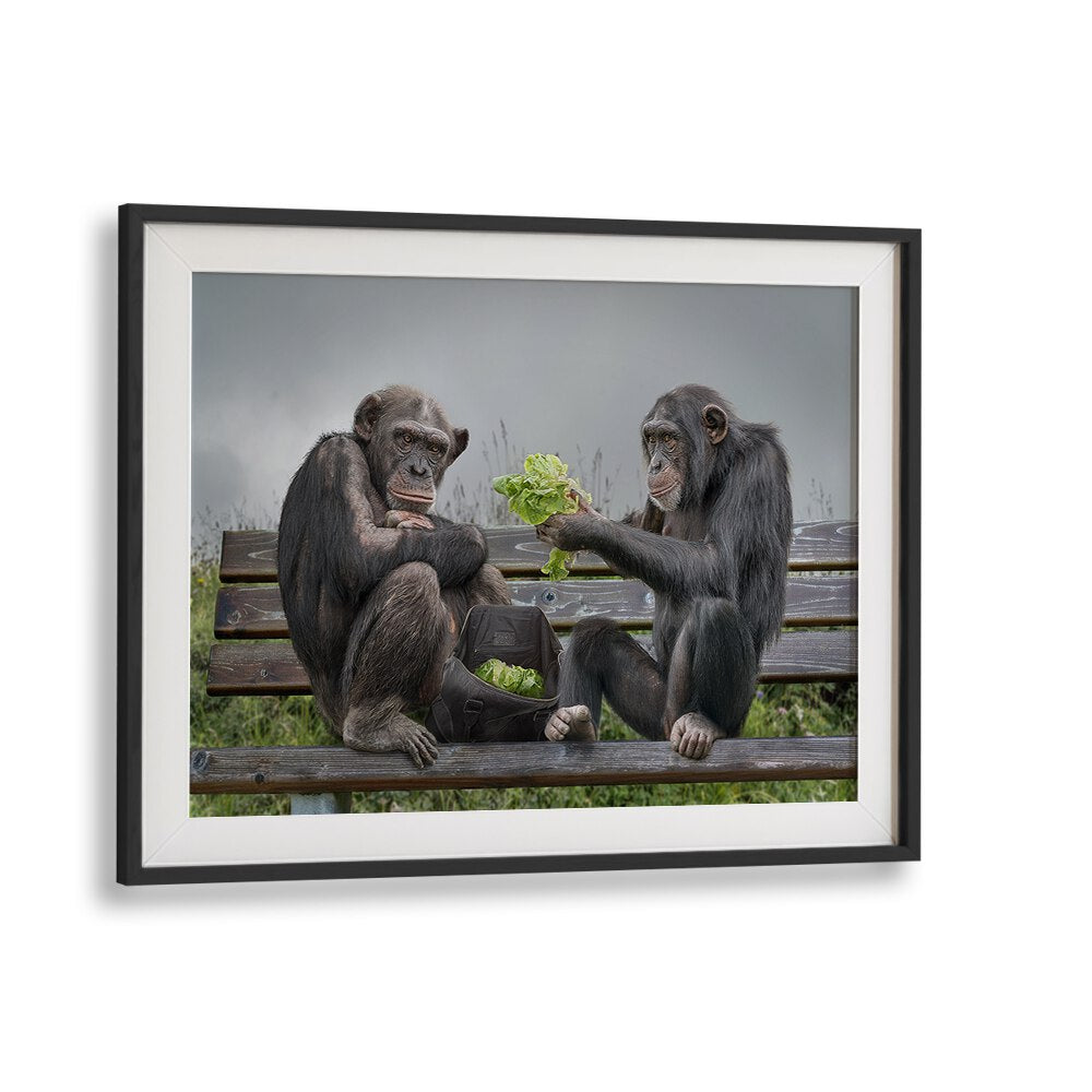 Whimsical MONKEY SALAD, PHOTOGRAPHY PRINTS showcasing playful chimpanzees sharing salad on a bench, perfect for home decor.