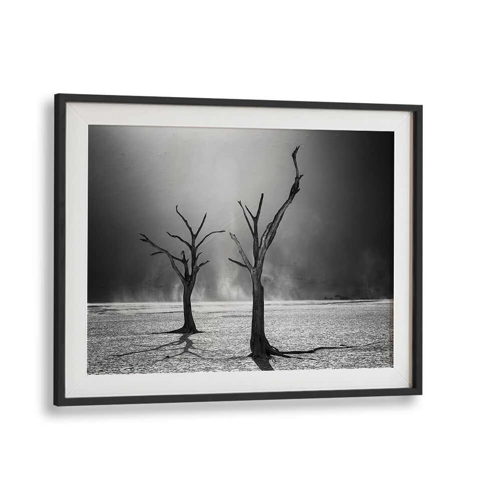 Stunning "Afterlife" photography prints featuring haunting trees against a stark landscape, capturing nature's essence.