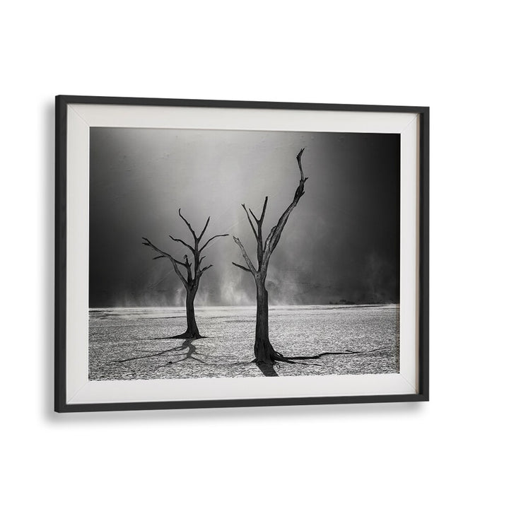 Stunning "Afterlife" photography prints featuring haunting trees against a stark landscape, capturing nature's essence.