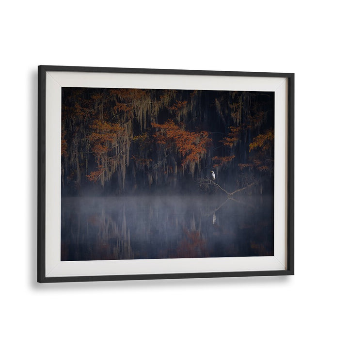 Serene "Misty Morning" photography prints showcasing tranquil fog and nature's beauty by Blackmount.